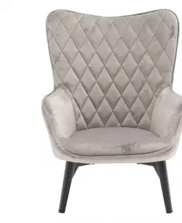 Moderné kreslá Kreslo Mini Light Grey Velvet 12