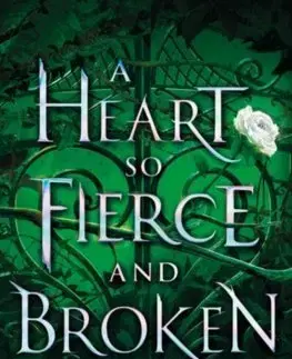 V cudzom jazyku Heart So Fierce and Broken - Brigid Kemmerer