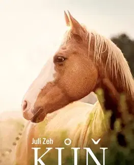 Kone Kůň - Juli Zeh