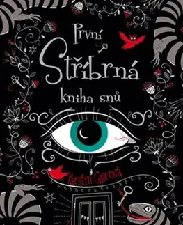 Young adults První stříbrná kniha snů, 3. vydanie - Kerstin Gierová,Tereza Eliášová
