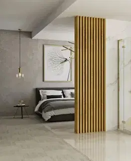 Sprchovacie kúty REA/S - Sprchová kabína Hugo 80x90 Gold Brush Dvere: 80 Dvere: 90 KPL-K8410