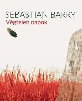 Svetová beletria Végtelen napok - Sebastian Barry