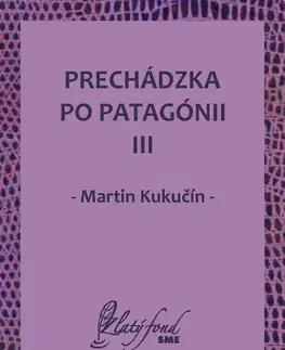 Slovenská beletria Prechádzka po Patagónii III - Martin Kukučín