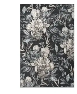 Moderné koberce Koberec Phoenix 2,0/3,0 6107 141