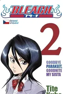 Manga Bleach 2 - Kubo Tite,Anna Křivánková
