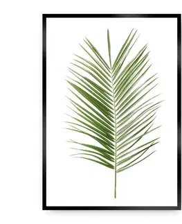 Obrazy Plagát Palm Leaf Green
