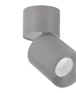 Svietidlá  Bodové svietidlo NIXA 1xGU10/10W/230V šedá 314253
