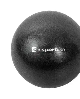 Gymnastické lopty Lopta na posilňovanie inSPORTline Aerobic Ball 25 cm bordó