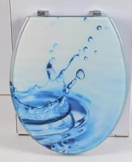 WC dosky WC Doska S pomalým sklápaním LOVE