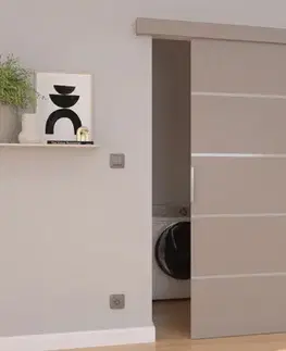Posuvné dvere ArtAdrk Posuvné dvere BIELLA | 106 cm Farba: grey