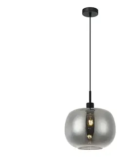 Svietidlá Viokef Lighting Závesné svietidlo ALAN na lanku 1xE27/40W/230V dymovo čierne 4302900