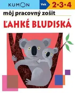 Príprava do školy, pracovné zošity Ľahké bludiská - môj pracovný zošit - Kolektív autorov