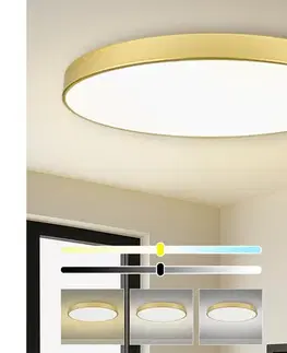 Svietidlá BRILAGI - LED stmievateľné bazénové svietidlo POOL SMART LED/180W/230V 120 cm zlaté Wi-Fi Tuya + diaľkový ovládač BRI573