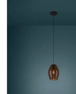 Svietidlá Eglo 390159 - Luster na lanku ESTANYS 1xE27/40W/230V hnedá 390159