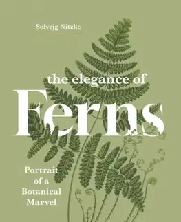 Záhrada The Elegance of Ferns - Solvejg Nitzke