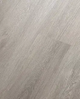 Proplus CORETEC Proplus Century 50RLV1204