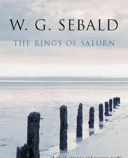 Cudzojazyčná literatúra The Rings Of Saturn - Vintage Voyages - W. G. Sebald