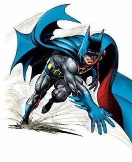 Cudzojazyčná literatúra Batman by Neal Adams Book One - N. Adams