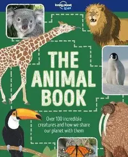 V cudzom jazyku Animal Book, The 1 - Kolektív autorov