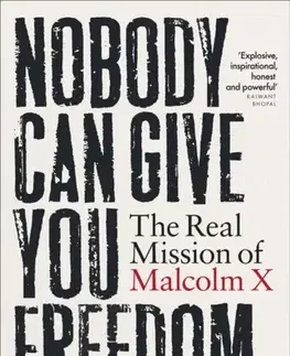 Politológia Nobody Can Give You Freedom - Kehinde Andrews