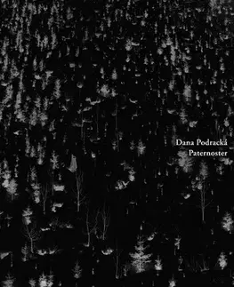 Poézia Paternoster - Dana Podracká