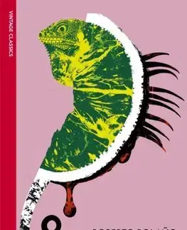 Svetová beletria Last Evenings On Earth - Roberto Bolano