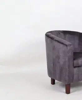 Kreslá Kreslo ARTEMIS Dekorhome