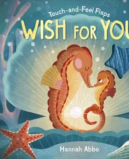 Leporelá, krabičky, puzzle knihy Touch-and-Feel Flaps: Wish for You - Dee Costello