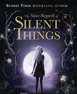 Cudzojazyčná literatúra Slow Regard of Silent Things - Patrick Rothfuss