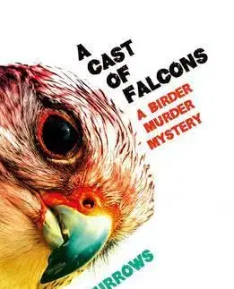 Cudzojazyčná literatúra A Cast of Falcons - Steve Burrows