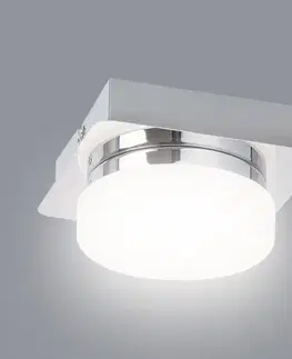 Moderné lampy do obývačky Stropné svietidlo Hilary LED 5661 chróm/biela LS3