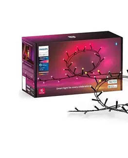 LED osvetlenie Philips-LED RGBW Stmievateľná vonkajšia reťaz HUE WACA 250xLED 24,4 m IP54 8720169246621