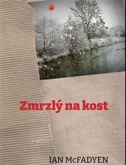 Detektívky, trilery, horory Zmrzlý na kost - Ian McFadyen