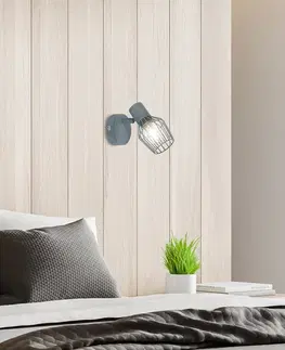 Nástenné svetlá Nástenná lampa 1X40W E14 sivá VIKING