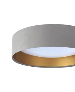 Svietidlá  LED stropné svietidlo GALAXY LED/24W/230V sivá/zlatá FG-BS0067