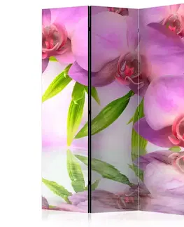 Paravány Paraván Orchid Spa Dekorhome