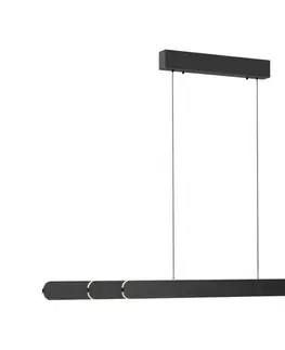 Svietidlá Schöner Wohnen 12577-18 - LED stmievateľný luster na lanku ADRIANA 2xLED/24W/230V čierna 12577-18