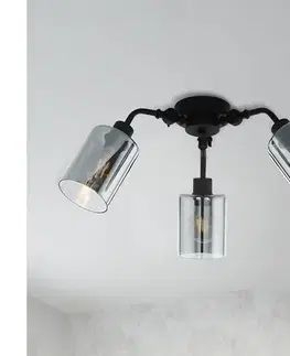 Svietidlá Eglo 43308 - Prisadený luster FORESTBURG 3xE27/40W/230V 43308