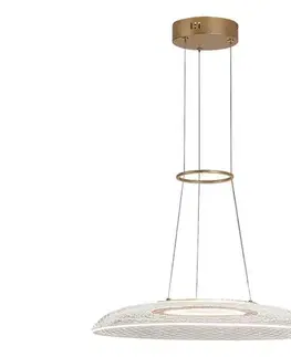 Svietidlá Rabalux 72411 - LED závesné svietidlo na lanku ZOFRAEL LED/24W/230V 3000K 72411