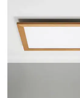 Svietidlá Eglo - LED prisadený panel SALOBRENA LED/31W/230V hnedý 1xEG34038+1xEG99423