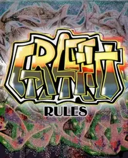 Romantická beletria Graffiti rules - Tomáš Houška