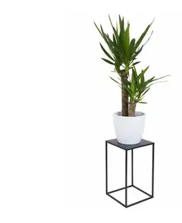 Stojany na kvetiny HowHomely Stojan na kvety 40x24 cm čierna 10-1363/40/