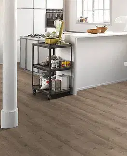 Modular one PARADOR Modular ONE Dub pure perlovo šedý štruktúra dreva 1730804