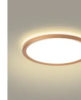 Svietidlá BRILAGI - ultratenké kúpeľňové stropné LED svietidlo 24W/230V, priemer 42 cm, ružové zlato, IP54 BRI630