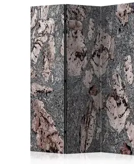 Paravány Paraván Grey stopper Dekorhome