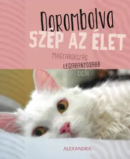 Citáty, výroky, aforizmy, príslovia, porekadlá Dorombolva szép az élet - Magyarország legaranyosabb cicái - 365 gondolat