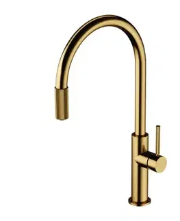 Kuchynské drezy OMNIRES OMNIRES - SWITCH drezová batéria so sadou filtra D1, brúsené zlato SW9057-FD1GLB