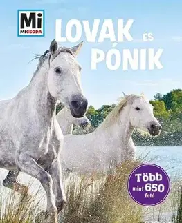 Príroda Mi Micsoda Lovak és pónik - album - Silke Behling,Sára Márialigeti