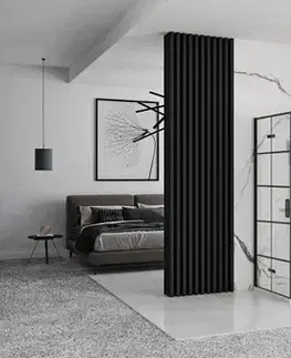 Sprchovacie kúty REA/S - Sprchová kabína Molier Black Double 80x90 KPL-K1011
