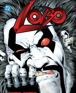 Komiksy Lobo: Velkej brajgl a další příběhy - Rafael Garrés,Grant Alan,Alex Ronald,Carl Critchlow,Darek Šmíd